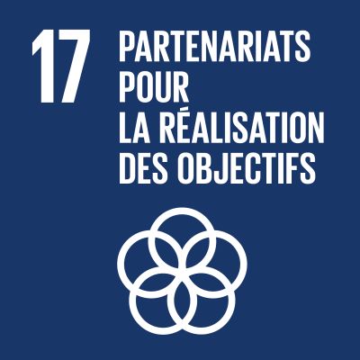 Sustainable Development Goal 17